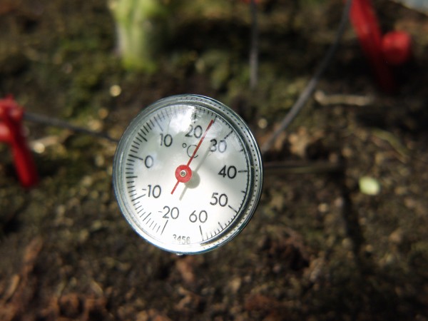 Erdthermometer zum Messen der Bodentemperatur